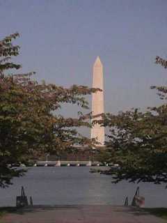Washington Monument 