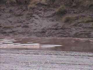Bore Tide 