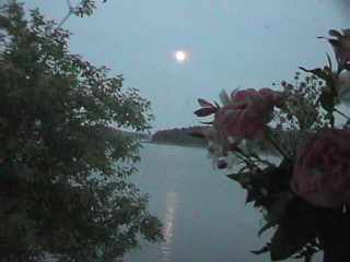 Pretty bay in Perry Maine