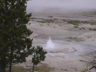 small geyser in the Fountain Paint pots area.